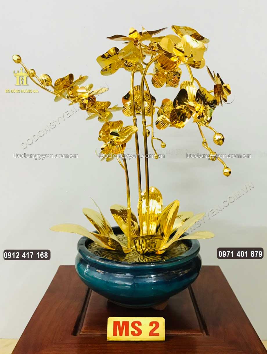Mẫu chậu hoa Lan 02